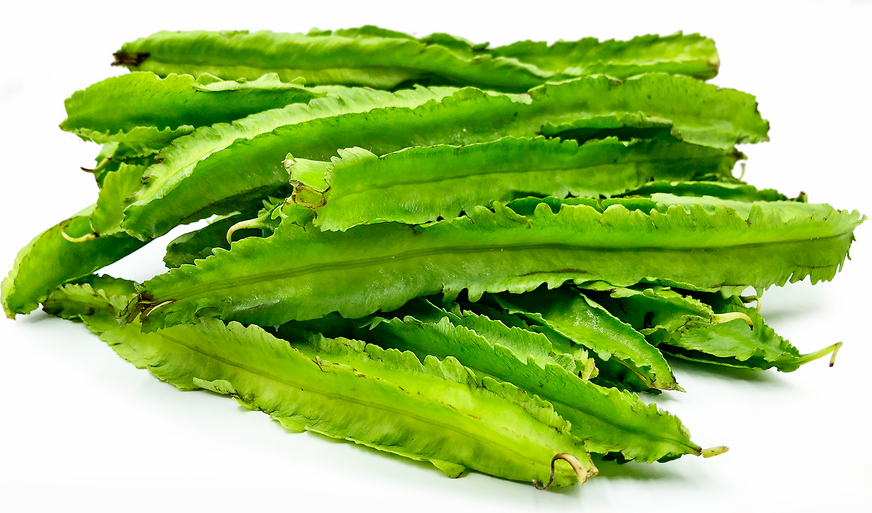 Wing Beans — Fukuda Seed Store